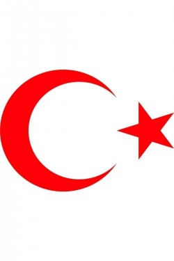 Türk Bayrağı Stıckers Ay Yıldız Kırmızı 22x16