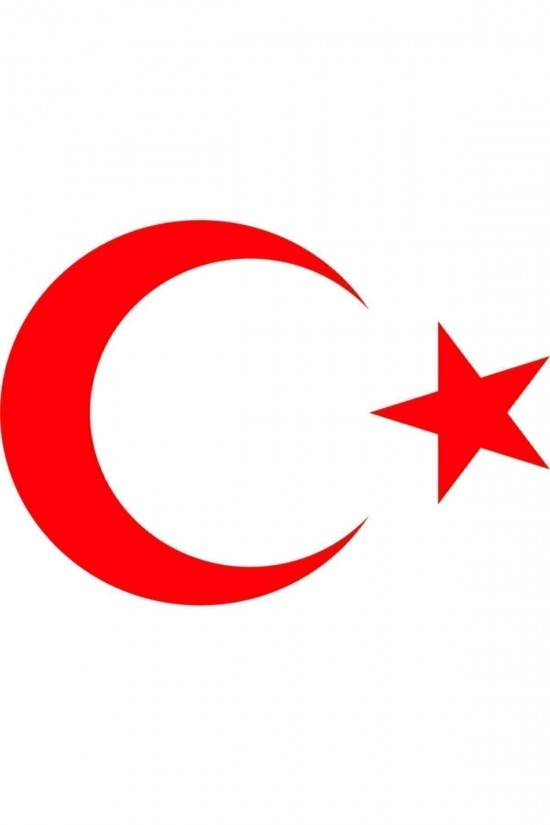 Türk Bayrağı Stıckers Ay Yıldız Kırmızı 22x16