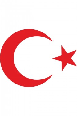 Türk Bayrağı Sticker Ay Yıldız Araba Oto Sticker 20 Cm X 15 Cm