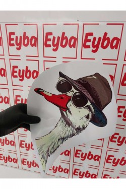 Dedektif ördek Renkli baskes Sticker 26x25 Cm bsks21