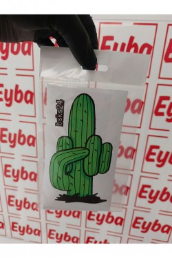 fuctus komik kaktüs araba karavan renkli baskı Sticker 8x15 Cm bsks24