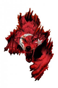 Türk Bayrağı SAĞ YÖN Kurt Bozkurt Boz Kurt Sticker 26x18 Cm RENKLİ BASKI