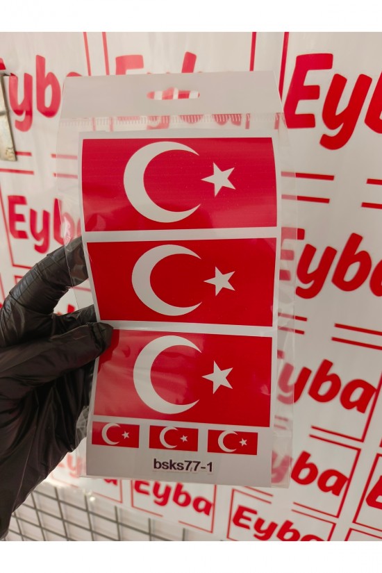 BAYRAK 3LÜ SET 10X5cm renkli baskı sticker, bisiklet, karavan,otomobil,çocuk