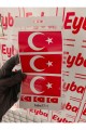 BAYRAK 3LÜ SET 10X5cm renkli baskı sticker, bisiklet, karavan,otomobil,çocuk