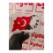 Atatürk ve bayrak 12x18 cm baskes 1 adet renkli baskı sticker, bisiklet, karavan,otomobil,çocuk