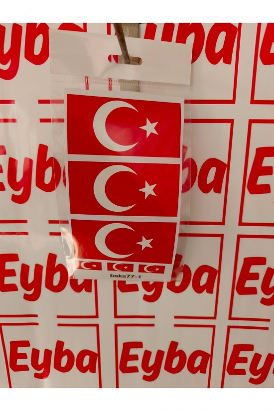 BAYRAK 3LÜ SET 10X5cm renkli baskı sticker, bisiklet, karavan,otomobil,çocuk