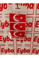 BAYRAK 3LÜ SET 10X5cm renkli baskı sticker, bisiklet, karavan,otomobil,çocuk