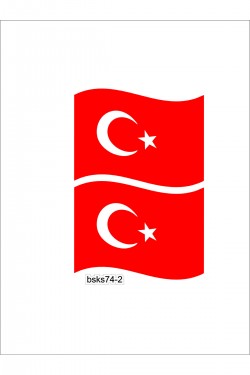 şekilli 2li bayrak 12x9 cm renkli baskı sticker, bisiklet, karavan,otomobil,çocuk