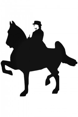 Tang At Sticker Araba Oto Arma Duvar Çıkartma 20 Cm