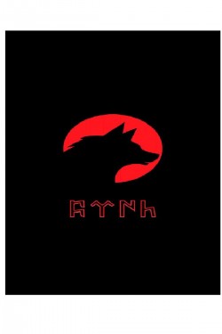 Türk Arma Bayrak Kurt Araç Sticker Araba Türk Bayrağı 15x15