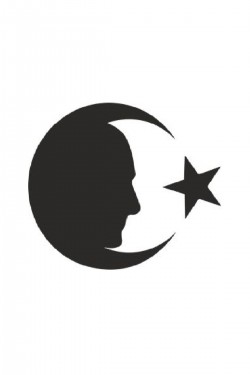 Türk Arma Bayrak Kurt Araç Sticker Araba Türk Bayrağı 15x15