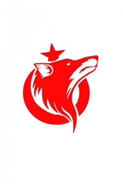 Türk Arma Bayrak Kurt Araç Sticker Araba Türk Bayrağı 15x15 Türk Arma Bayrak Kurt Araç Sticker Araba Türk Bayrağı 15x15