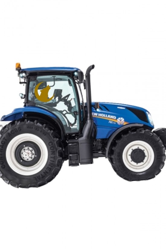 Kurt Bozkurt Hilal Traktör Arka Cam Araç Arka Cam Ülkücü Bayrak