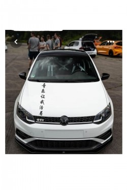Araç Ön Kaput Çince Yazı Altılı Modelsticker