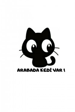 Arabada Kedi Var Model 1 Sticker - Model 2 Sticker