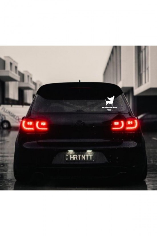 Arabada Köpek Var Beyaz Sticker