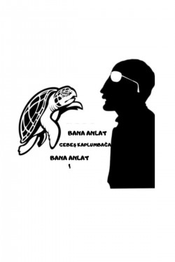 Bana Anlat Gebeş Kaplumbağa Bana Anlat Sticker Cam Oto Araç Bana Anlat Gebeş Kaplumbağa Bana Anlat Sticker Cam Oto Araç