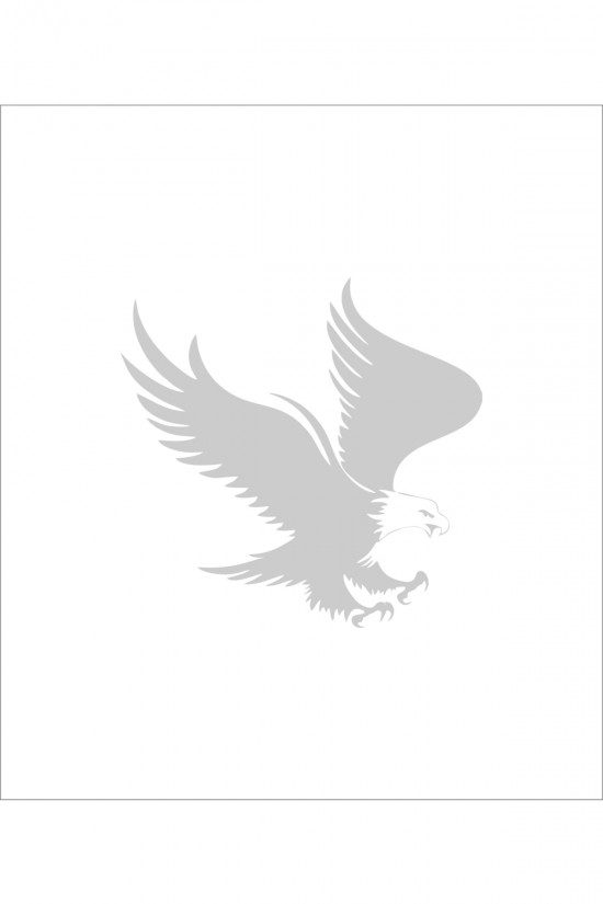 Kartal Sticker 15x15 Cm Kartal Sticker 15x15 Cm