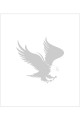 Kartal Sticker 15x15 Cm Kartal Sticker 15x15 Cm